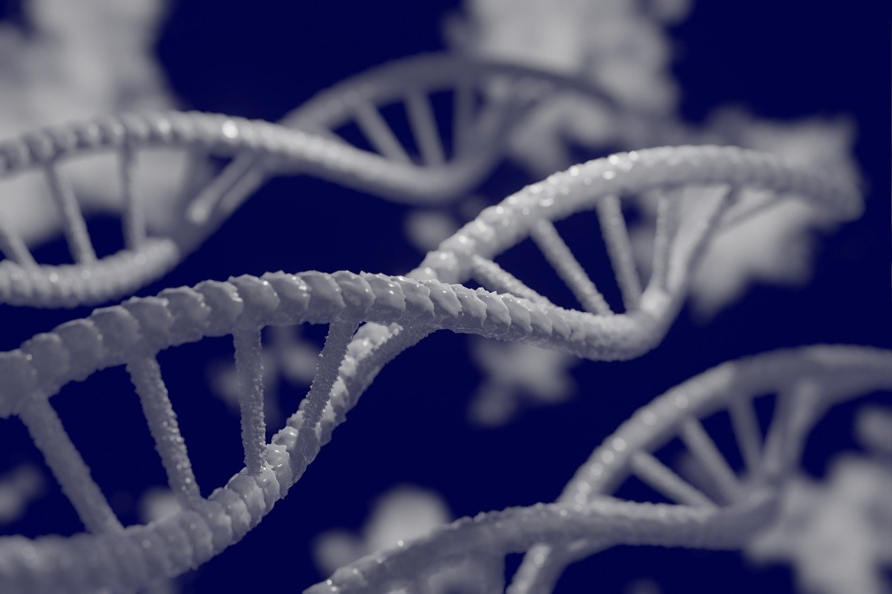 What You Need to Know about CRISPR and Its Clinical Applications
